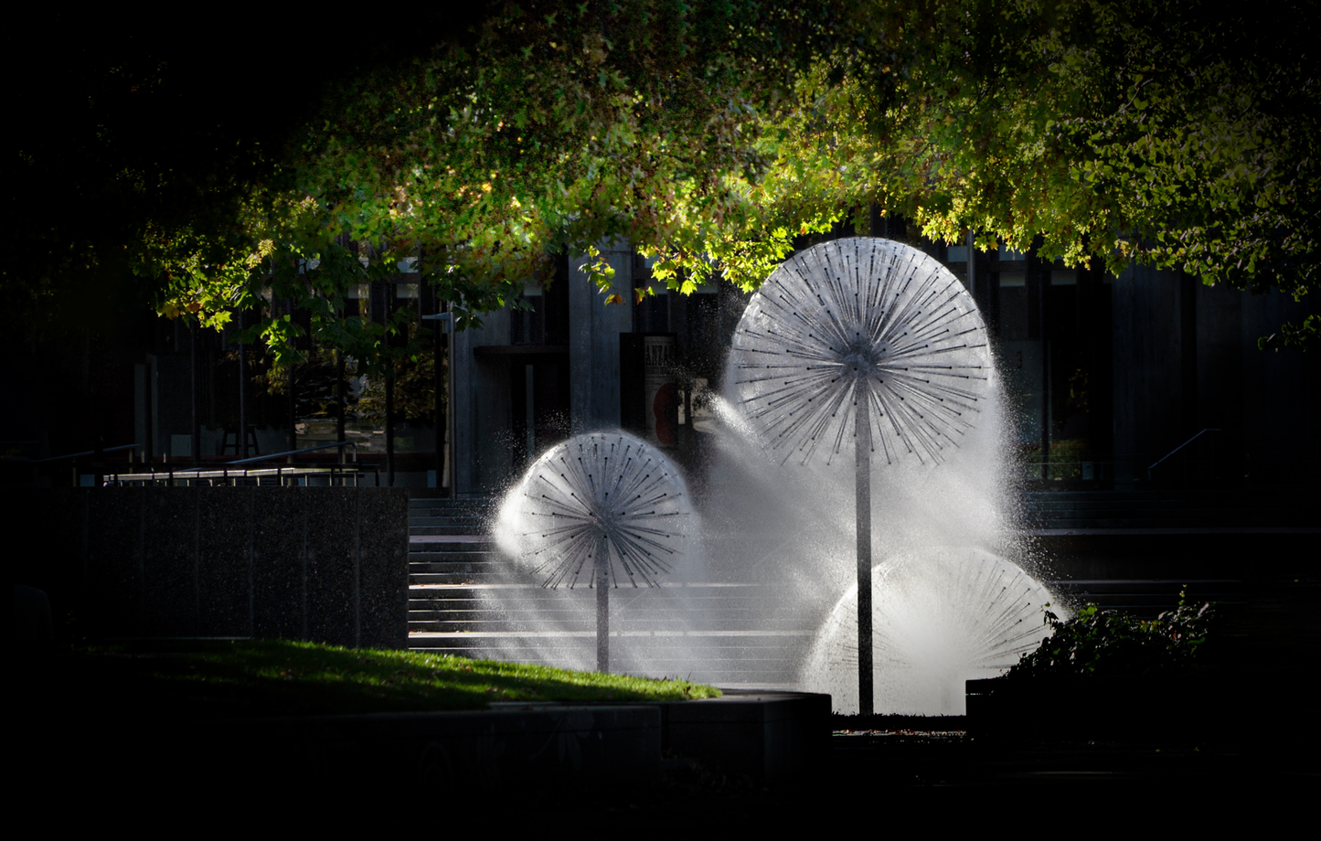 Christchurch Fountain Christchurch New Zealand