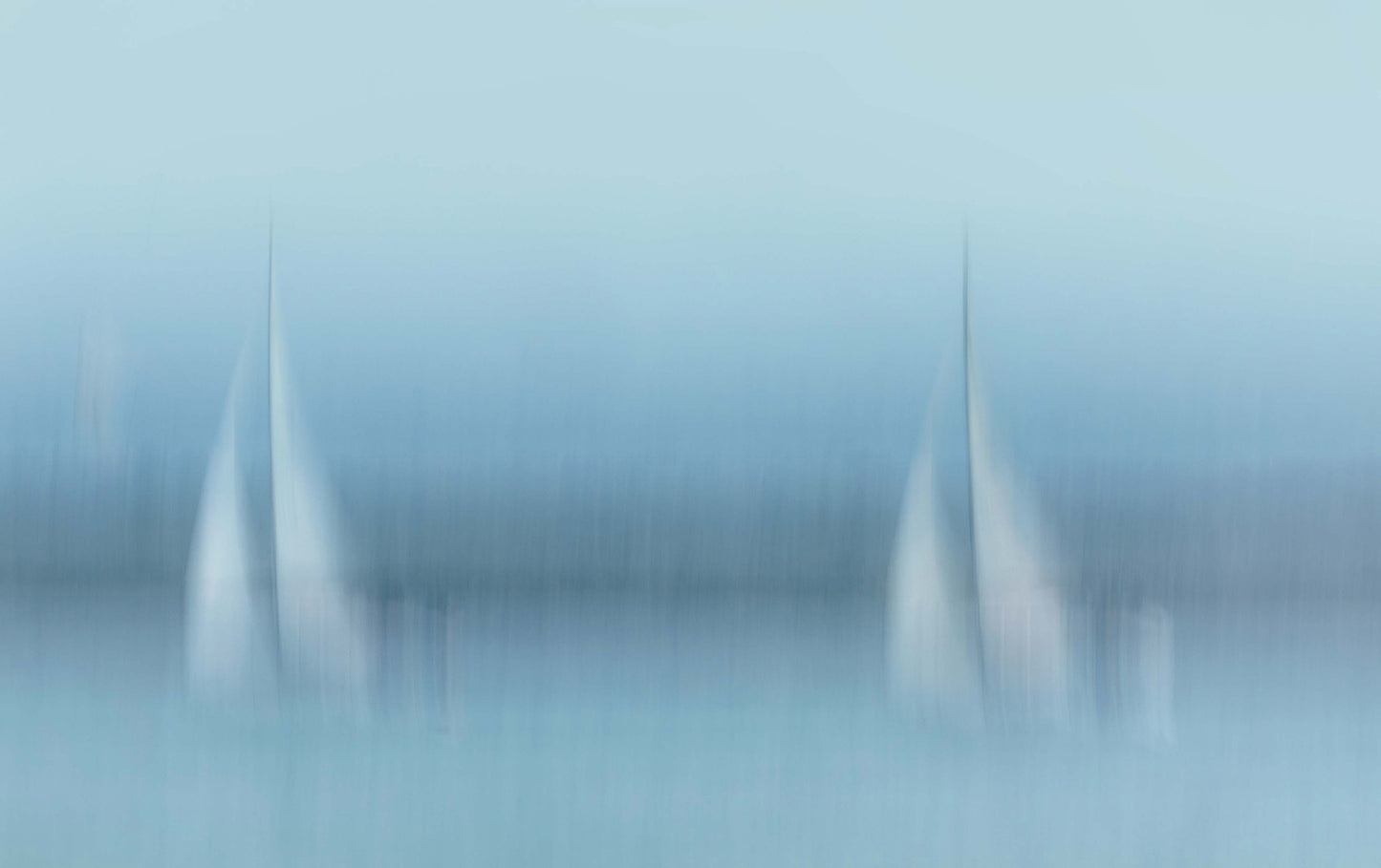 White Sails in Blue Nelson New Zealand