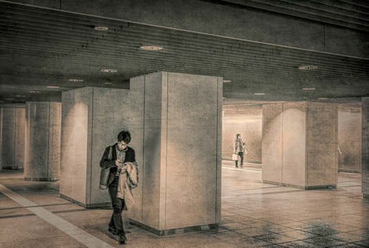 Japan Train Station Project